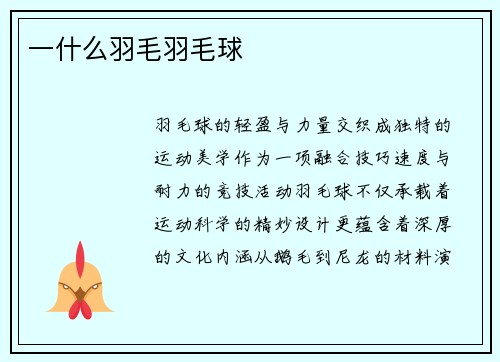 一什么羽毛羽毛球