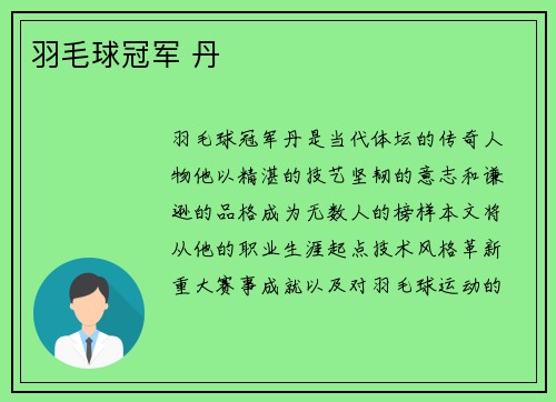 羽毛球冠军 丹