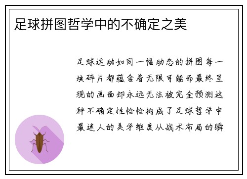 足球拼图哲学中的不确定之美